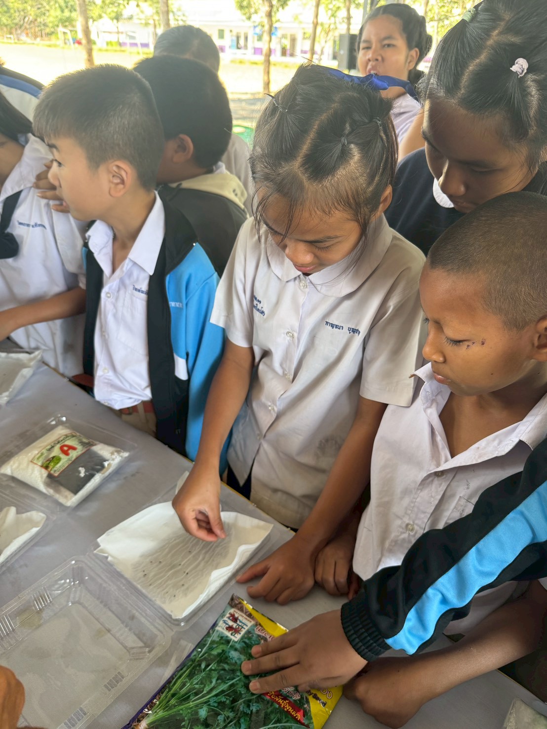 title - ส.ป.ก.จันทบุรี ดำเนินการฝึกอบรม โครงการเพิ่มศักยภาพระบบงานเกษตรภายใต้แผนพัฒนาเด็กและเยาวชนในถิ่นทุรกันดาร ตามพระราชดำริ สมเด็จพระเทพรัตนราชสุดาฯ สยามบรมราชกุมารี ประจำปีงบประมาณ พ.ศ. 2569 